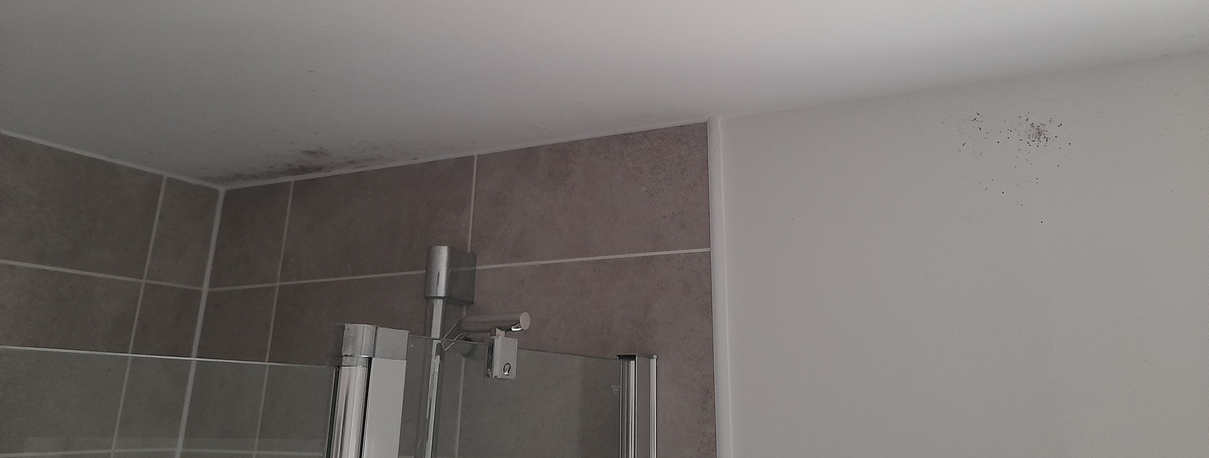 Fig. 2: Mould in bathroom Fig. 2: Mould in bathroom