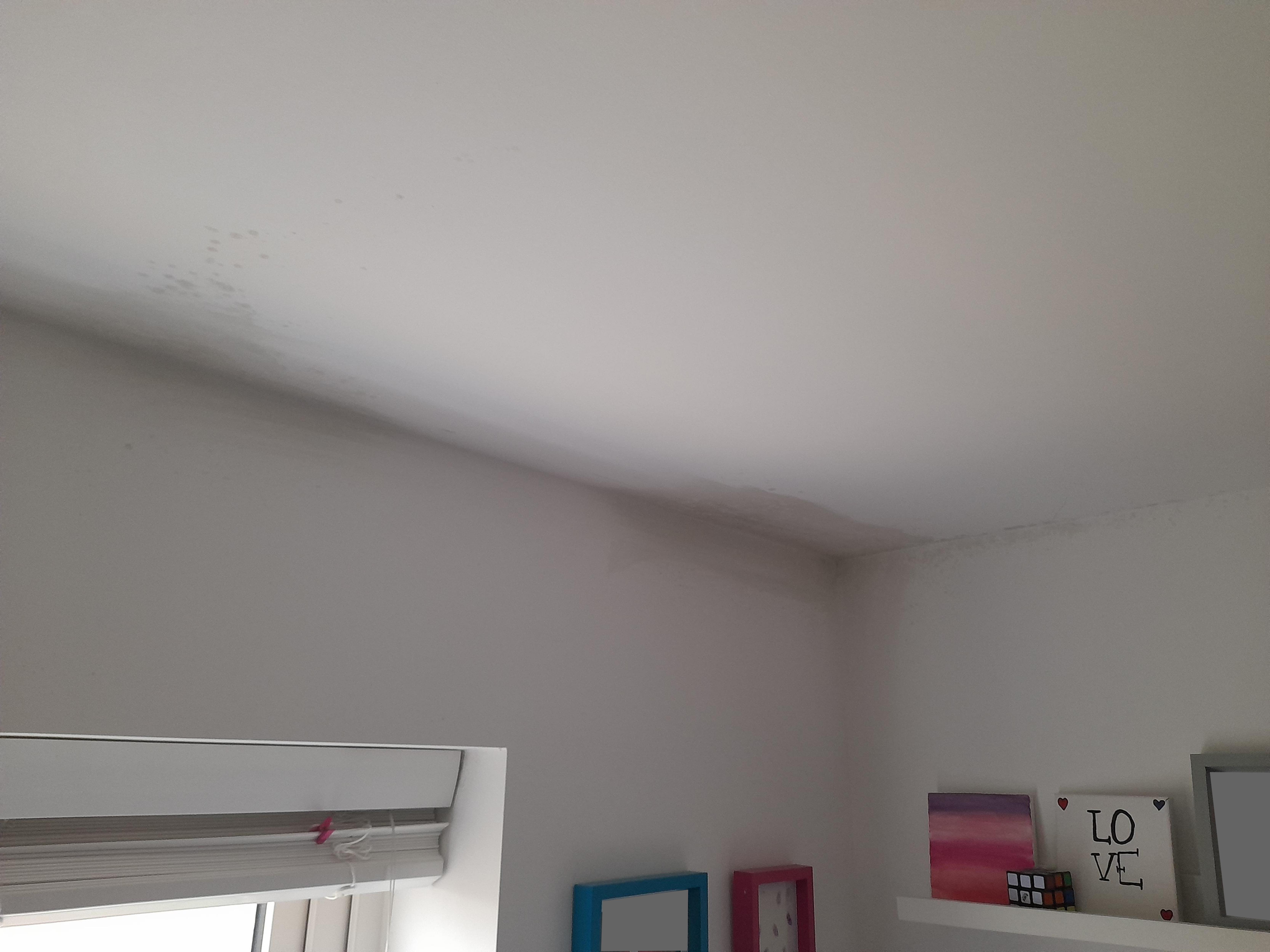 Fig. 1: Mould in a bedroom. This is after significant cleaning, but the extent is obvious. Fig. 1: Mould in a bedroom. This is after significant cleaning, but the extent is obvious.